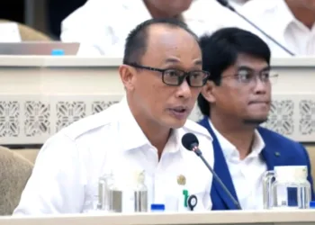 BKN Sebut Mutasi ASN Tak Bisa Ugal-ugalan, Harus Tunggu 6 Bulan
