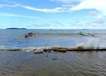 Warga Pesisir Jayapura Diminta Waspada Tsunami Dampak Gempa Rusia
