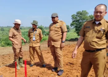 Lebak Cetak Sawah Baru Seluas 800 Hektare, Digarap Kelompok Tani