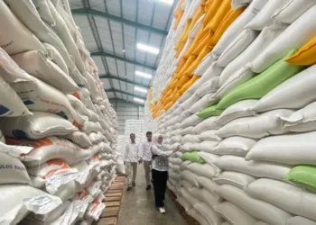 Pemerintah Tambah Target Serapan Beras Bulog Jadi 4 Juta Ton di 2025