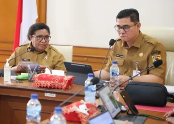 Wamendagri Desak Kepala Daerah di Papua Segera Salurkan Dana Otsus