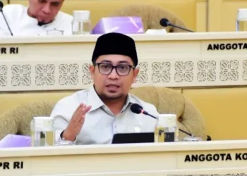 DPR Desak Pemerintah Respons Fenomena Kenaikan PBB di Daerah