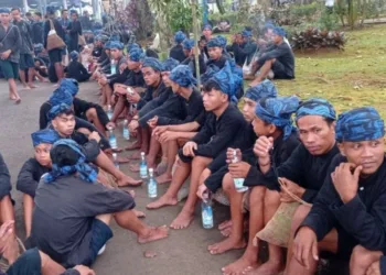 Warga Badui Meninggal Akibat Gigitan Ular Berbisa, Dinkes Lebak Sediakan Serum Antibisa Ular