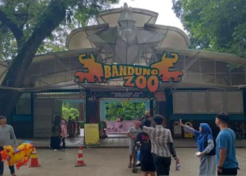 Kasus Bandung Zoo Berlanjut, Wali Kota Digugat Terdakwa Korupsi