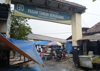 Geger Isu Penemuan Puluhan Potongan Kepala Kucing di Sidoarjo, Polisi: Hoaks