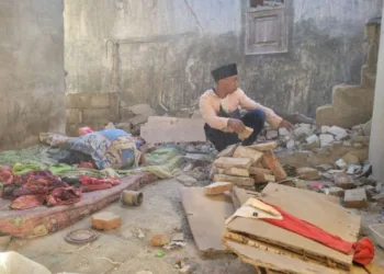 Dampak Gempa di Situbondo Bertambah, Total 64 Rumah Rusak