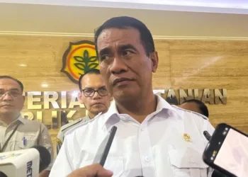 Mentan Pastikan Stabilisasi Harga Ayam untuk Peternak dan Konsumen