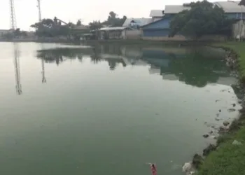 Danau Situ Cangkring Periuk di Tangerang Tercemar, Diduga Ulah 5 Perusahaan