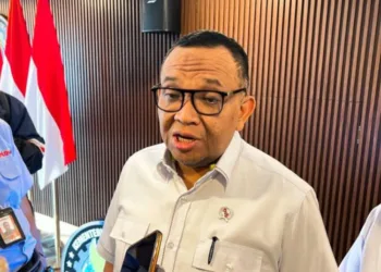 Siap-Siap! Program Magang Nasional Serap 20 Ribu Fresh Graduate