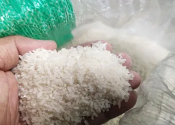 Pemerintah Perbaiki Sistem Penyimpanan Imbas Puluhan Ribu Ton Beras Turun Mutu