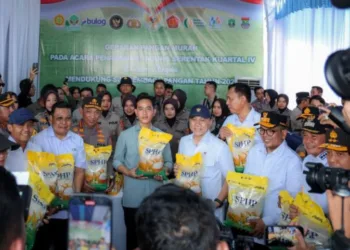 Wapres Gibran Apresiasi Tenaga Medis yang Sigap Layani Warga Pelosok