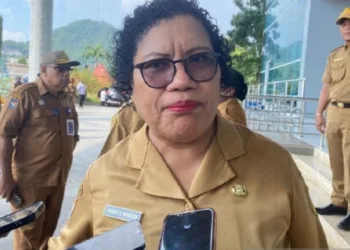 Pemprov Papua Sebut Ekspor Kayu Kini Bisa Langsung ke Shanghai