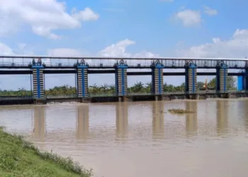 Forum DAS Kawasan Muria Soroti Urgensi Pemulihan Daerah Aliran Sungai Juwana