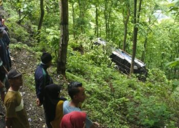 Bus Terjun ke Jurang di Jalur Arak-Arak Perbatasan Bondowoso-Situbondo