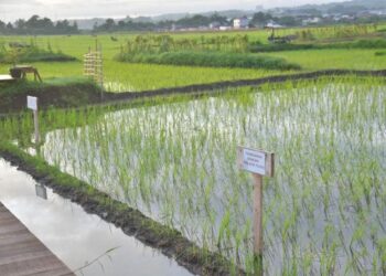 Tarif Komersial Dihapus, Petani Kota Semarang Kini Hanya Bayar Retribusi Lahan