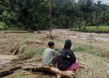 Sektor Pertanian Padang Pariaman Ditaksir Rugi Rp13 Miliar Akibat Banjir-Longsor