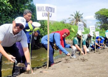 Tanam Ratusan Mangrove, Situbondo Kembangkan Ekowisata Kawasan Pantai