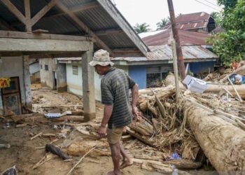 1.100 Ton Sampah Pasca Banjir-Longsor di Padang Berupa Kayu Gelondongan