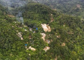 10 Persen Hutan Gunung Halimun Salak Rusak Akibat Tambang Ilegal