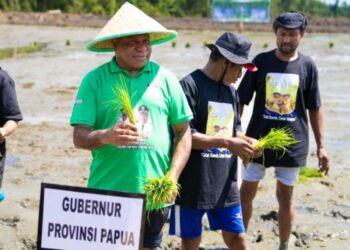 4 Daerah di Provinsi Papua Disiapkan Capai Swasembada Pangan