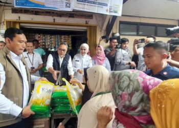 Cek Harga Pangan di Kendal, Zulhas: Harga Paling Rendah dari Daerah Lain