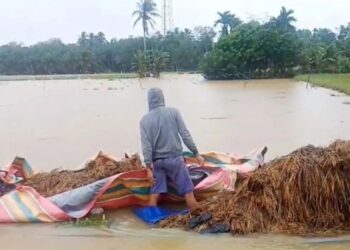 DPR Dukung Penghapusan Utang KUR Petani Terdampak Bencana di Sumatra