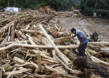 Kasus Kayu Gelondongan Terseret Banjir di Sumatra Naik Penyidikan