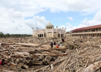 Warga Diizinkan Manfaatkan Kayu Hanyut Terbawa Banjir Sumatra, Ini Kata Kemenhut