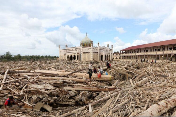 Kayu gelondongan yang terbawa arus luapan Sungai Tamiang, di area pasantren Islam Terpadu Darul Mukhlishin, Desa Tanjung Karang, Aceh Tamiang, Aceh. (Antara)