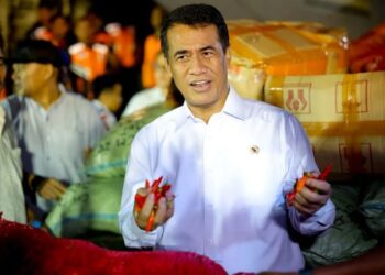 Mentan Serap 40 Ton Cabai Petani Aceh Didistribusikan ke Jakarta