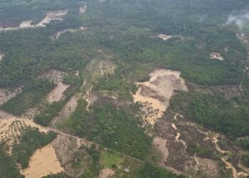 Menteri LH Temukan Indikasi Degradasi DAS hingga Tambang Ilegal di Aceh