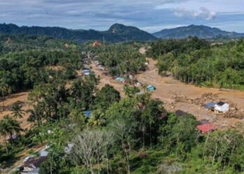 Pemerintah Audit 24 Perusahaan Pemegang Izin Pemanfaatan Hutan di Sumatra