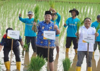 Jepara Gandeng BRIN Optimalkan Lahan Pertanian Pesisir