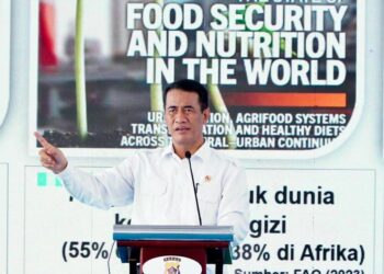 Mentan Andi Amran Target Papua Mandiri Pangan pada 2027