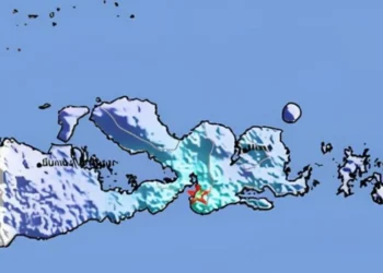 Gempa bumi tektonik bermagnitudo 4,6 mengguncang Bima, NTB, Kamis dini hari, getaran terasa hingga Sumbawa.