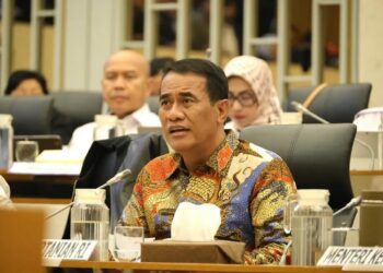 Kementan mengajukan tambahan anggaran Rp5,1 triliun guna mempercepat pemulihan sektor pertanian di Aceh, Sumatra Utara, dan Sumatra Barat pascabencana hidrometeorologi.