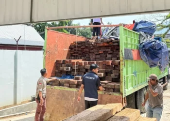 Kemenhut menggagalkan pengangkutan 544 batang kayu kumea ilegal tanpa SKSHHKO di Makassar, Sulsel.