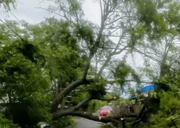 Pemkab Lombok Tengah menyiapkan dana biaya tak terduga (BTT) Rp2,5 miliar dalam APBD 2026 untuk penanganan dampak bencana akibat cuaca ekstrem.