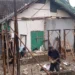 19 rumah dan satu musala di Kecamatan Cikulur, Kabupaten Lebak, terdampak pergerakan tanah akibat hujan ekstrem.