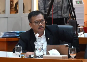 Anggota Komisi IX DPR RI Edy Wuryanto usul afirmasi khusus bagi daerah berstatus UHC untuk cegah penurunan kepesertaan JKN akibat penonaktifan PBI oleh pemerintah.