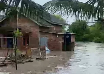 BPBD Lombok Timur meminta bantuan makanan siap saji ke BNPB untuk korban banjir.