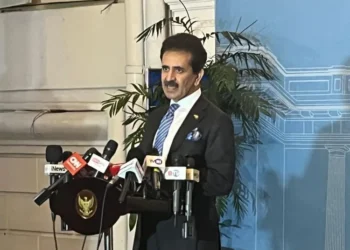 Dubes Pakistan Zahid Hafeez Chaudhri mengajak Indonesia memperkuat kolaborasi global, mengingat kedua negara mewakili lebih dari seperempat populasi Muslim dunia.