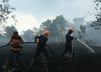 Karhutla kepung Kalimantan Barat (Kalbar), 435,578 hektare lahan terbakar di 13 kabupaten/kota sejak Januari 2026.