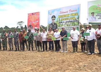 Pemprov Papua canangkan Distrik Muara Tami sebagai lumbung pangan melalui penanaman jagung hibrida 5 hektare di Skouw Mabo, Jayapura, untuk perkuat ketahanan pangan.