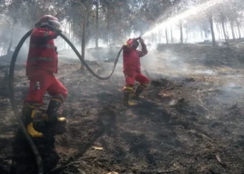 Kemenhut kerahkan tim Manggala Agni untuk padamkan karhutla di Riau dan Kepulauan Riau (Kepri), termasuk Pelalawan, Bengkalis, Siak, Rokan Hilir, dan Batam.