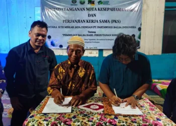 KTH Mekar Jaya jalin kerja sama dengan PT Partawood Balsa Indonesia untuk pemanfaatan hasil hutan kayu balsa Perhutanan Sosial di Grobogan.