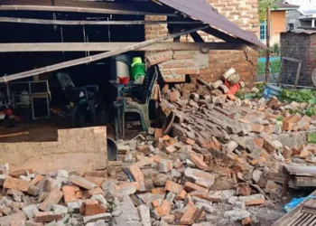 Sebanyak 79 rumah di Pulau Adonara, Flores Timur, NTT, rusak akibat gempa M4,7.