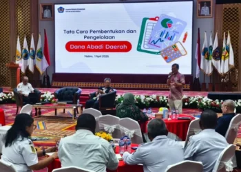 Kemenkeu dorong Pemprov Papua Tengah bentuk Dana Abadi Daerah (DAD) untuk perkuat kemampuan fiskal jangka panjang dan kemandirian anggaran belanja daerah.