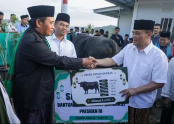 Gubernur Jateng Ahmad Luthfi menyerahkan sapi kurban 906 kg kepada warga penghuni huntara Tegal usai Salat Iduladha sebagai wujud kepedulian kepada korban bencana.