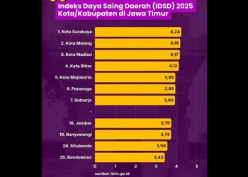Kabupaten Jember berhasil menempati posisi ke-16 dalam Indeks Daya Saing Daerah (IDSD) 2025 se-Jawa Timur, melampaui Banyuwangi dalam penilaian BRIN.